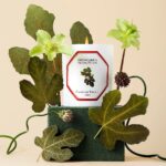 Carriere Freres Fig tree Candle 100% vegetable wax