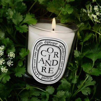Diptyque Coriandre (Coriander) Classic Candle