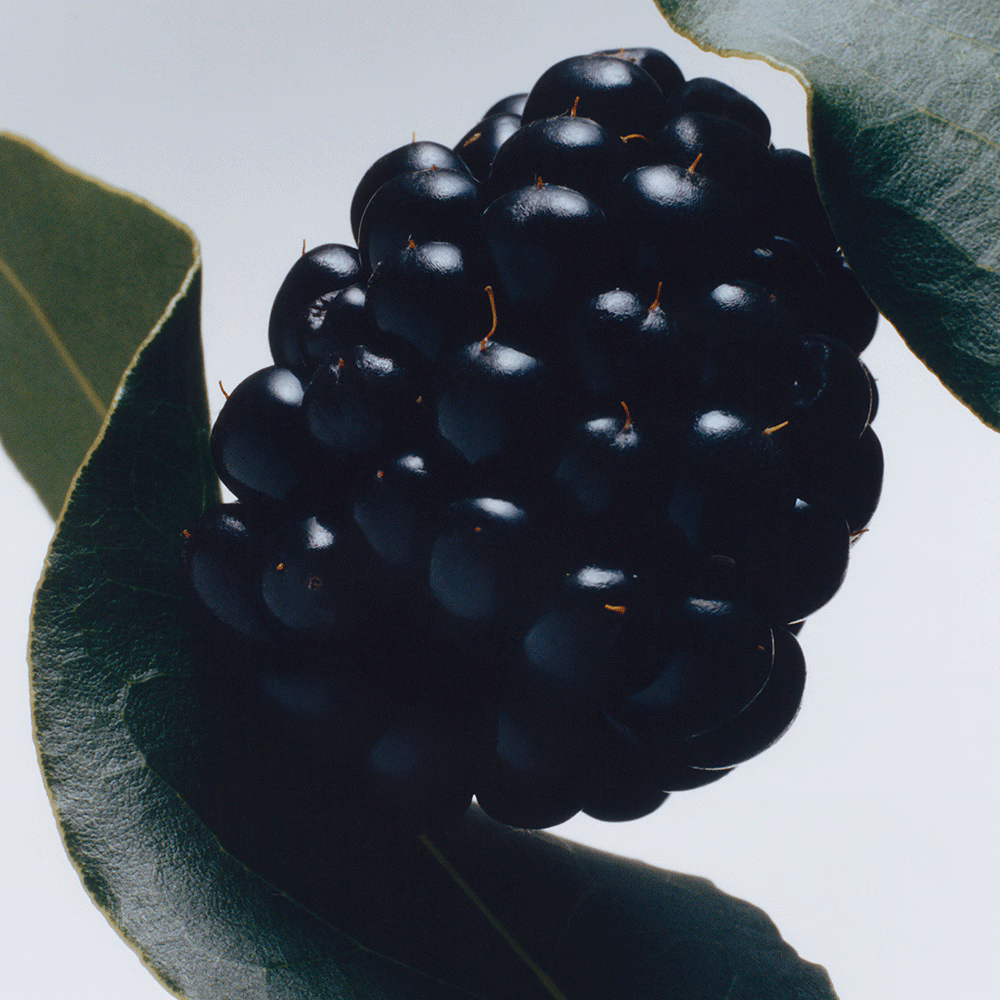 Jo Malone Blackberry & Bay Scented Candle
