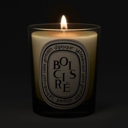 Diptyque Bois Cire (Waxed Wood) Classic Candle