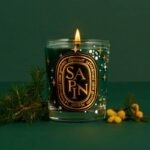 Diptyque Sapin Candle Limited Edition