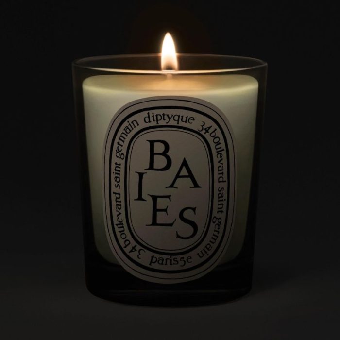 Diptyque Baies (Berries) Classic Candle