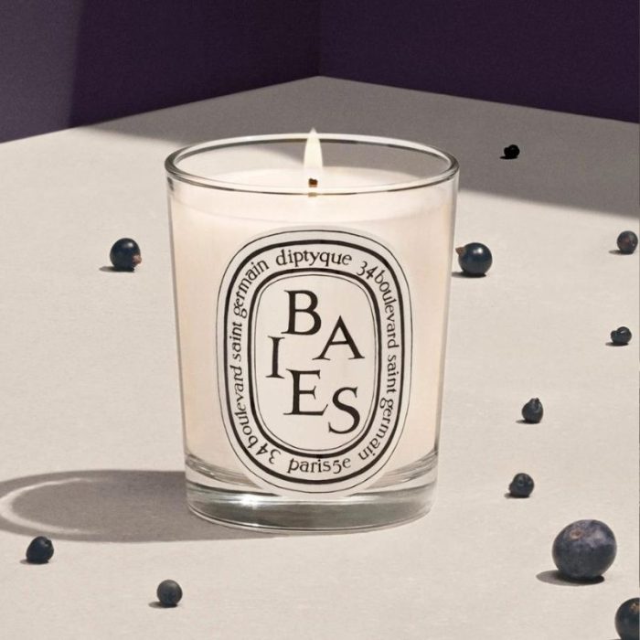 Diptyque Baies (Berries) Classic Candle