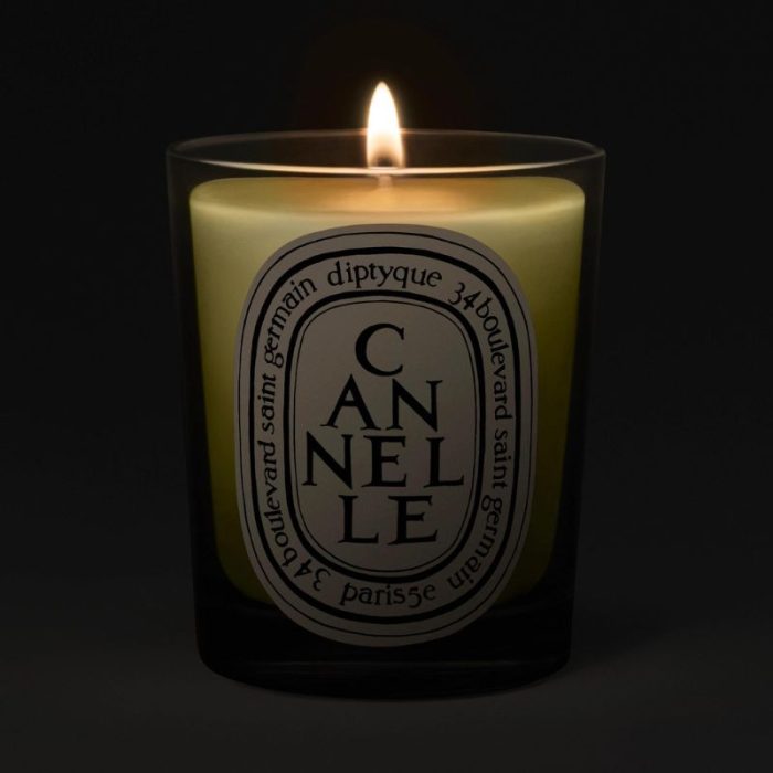 Diptyque Cannelle (Cinnamon) Classic Candle