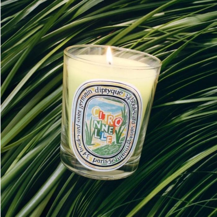 Diptyque Citronnelle (Lemongrass) Scented Candle