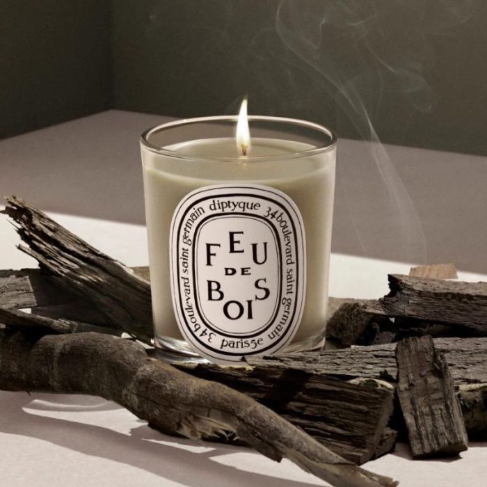 Diptyque Feu de Bois (Wood Fire) Classic Candle