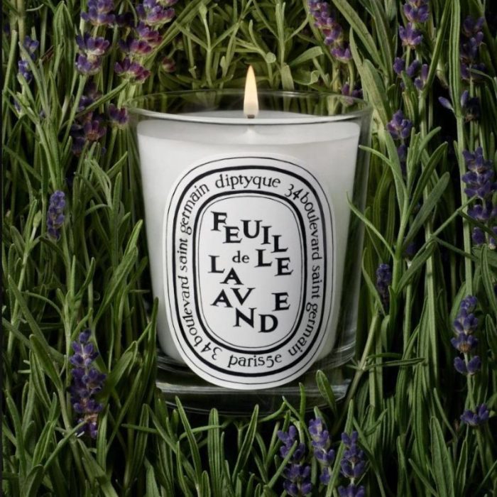 Diptyque Feuille de Lavande (Lavender Leaf) Classic Candle