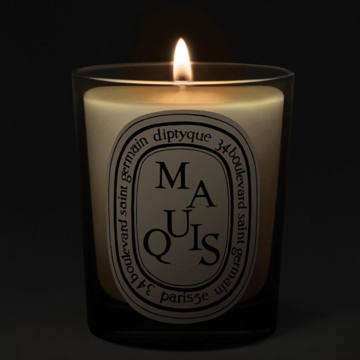 Diptyque Maquis (Scrub) Classic Candle