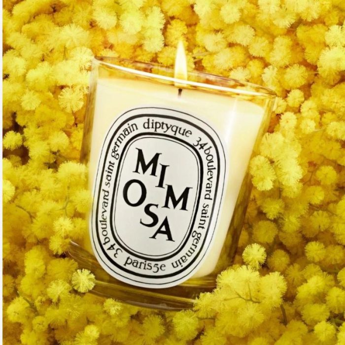 Diptyque Mimosa scented candle