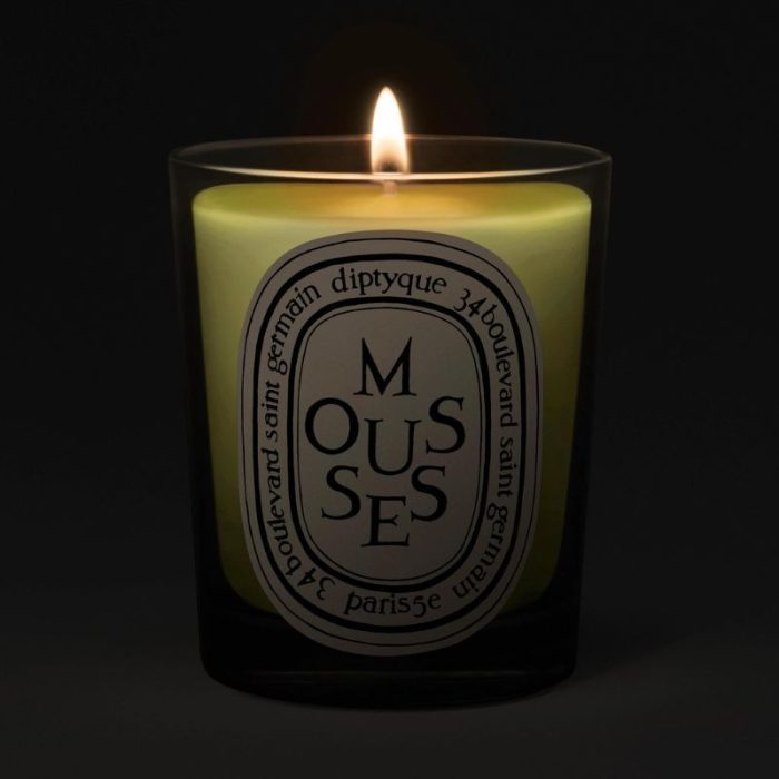 Diptyque Mousses(Moss) Classic Candle