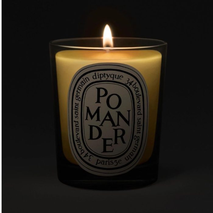 Diptyque Pomander Classic Candle