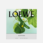 Loewe Small Cucumber Candle