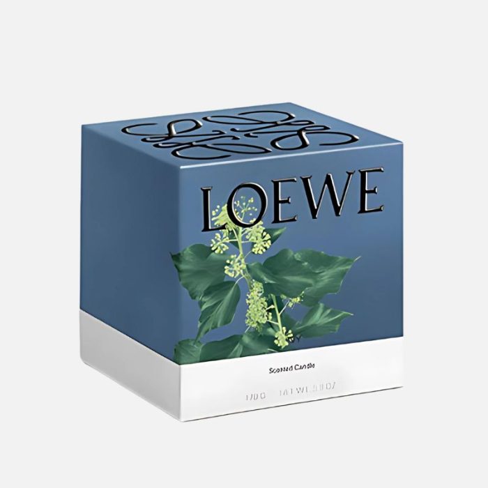 Loewe Small Ivy Candle