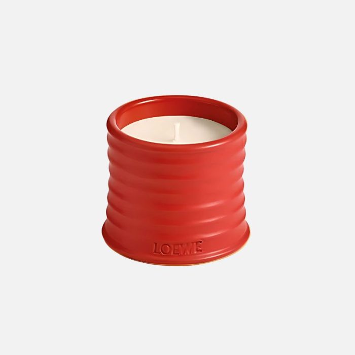 Loewe Small Tomato Leaves Candle