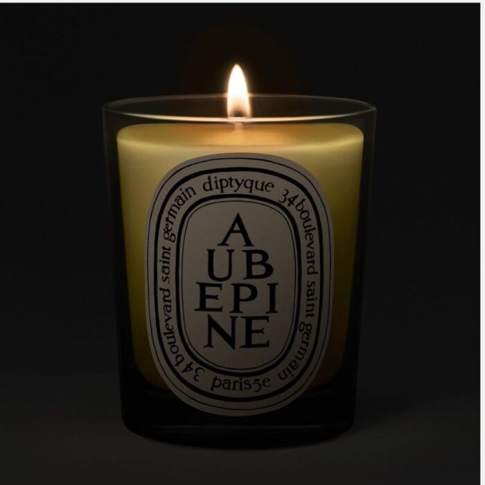 Diptyque Aubepine (Hawthorn) Classic Candle