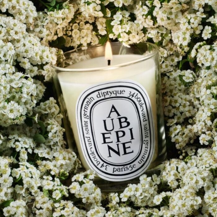 Maison De Luxxso World Wide - Diptyque Aubepine (Hawthorn) Classic Candle