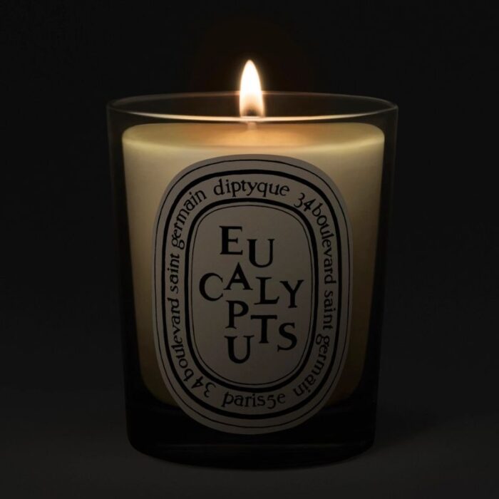 Diptyque Eucalyptus Classic Candle