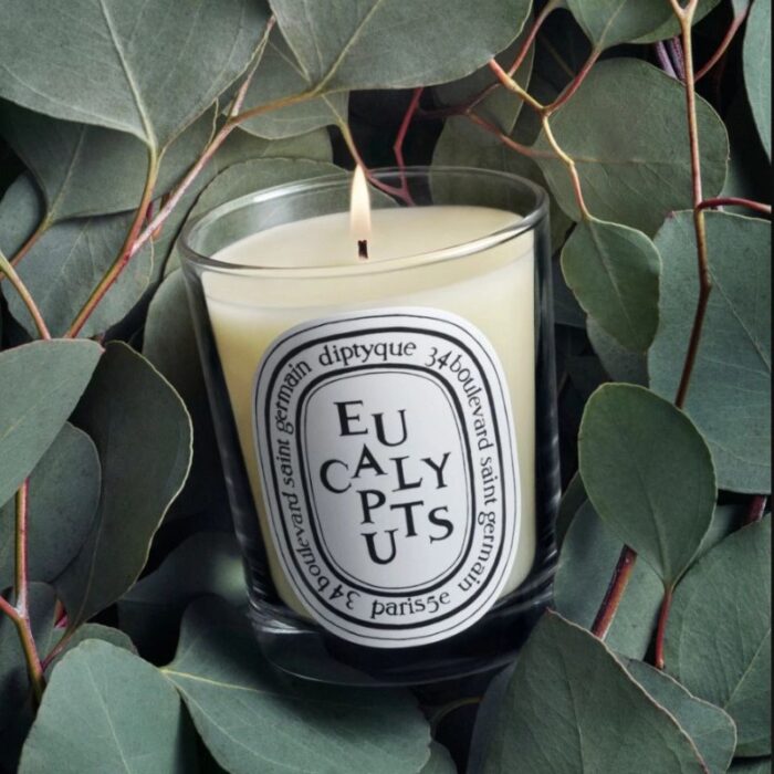 Diptyque Eucalyptus Classic Candle