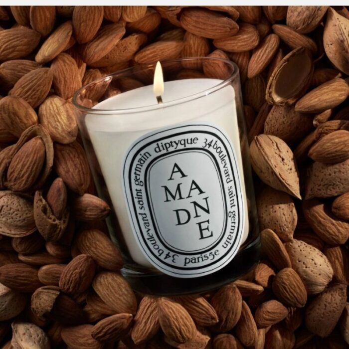 Diptyque Musc (Musk) Classic Candle