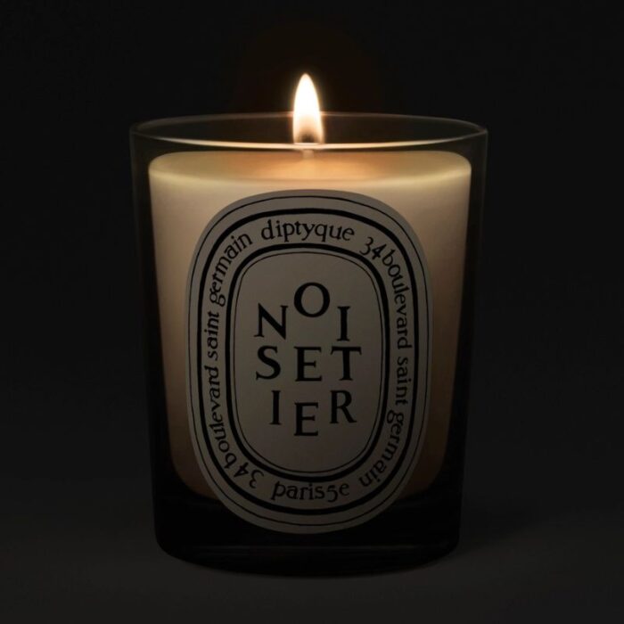 Diptyque Noisetier (Hazel Tree) Classic Candle