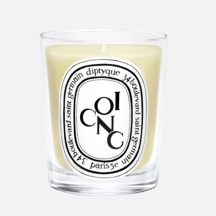 Diptyque Coing (Quince) Classic Candle