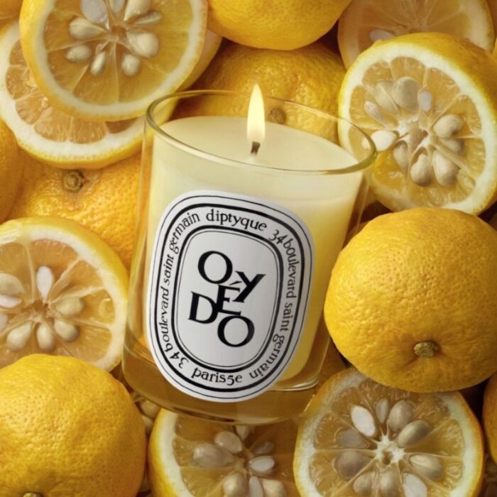 Diptyque Oyedo Classic Candle