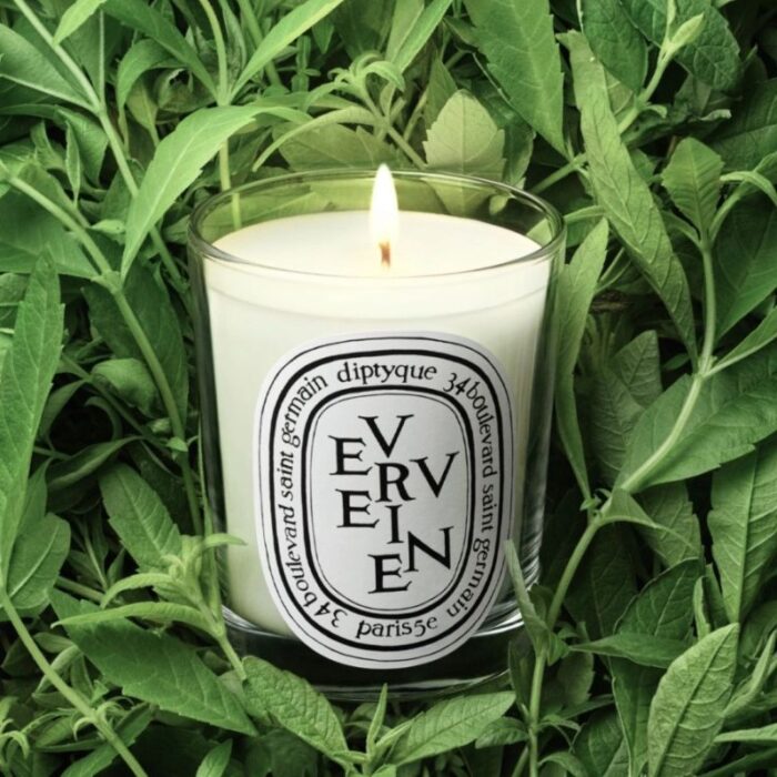 Diptyque Verveine (Lemon Verbena) Classic Candle