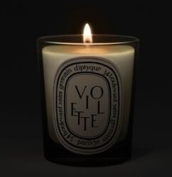 Diptyque Violette (Violet) Classic Candle
