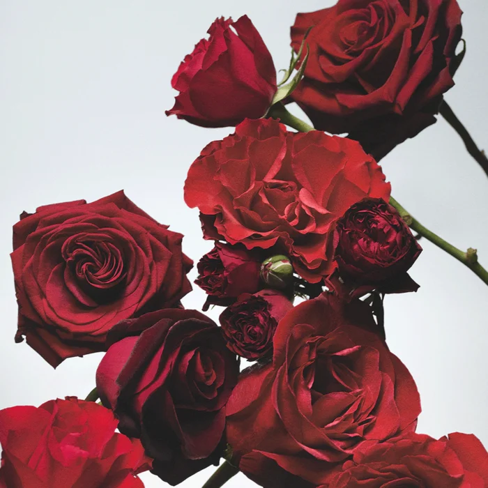 Jo Malone Red Roses Diffuser