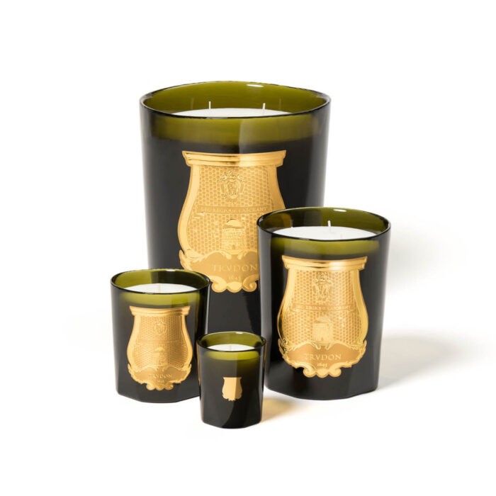 Maison De Luxxso World Wide - CIRE TRUDON Ernesto Candle Leather, Tobacco & Revolution