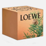 LOEWE-Medium-Cypress-Balls-Scented-Candle