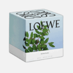 LOEWE-Medium-Incense-Scented-Candle