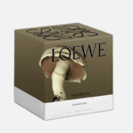 LOEWE Medium Mushroom Scented Candle