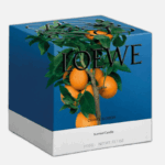 LOEWE-Medium-Orange-Blossom-Scented-Candle