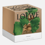 LOEWE-Medium-Roasted-Hazelnut-Scented-Candle
