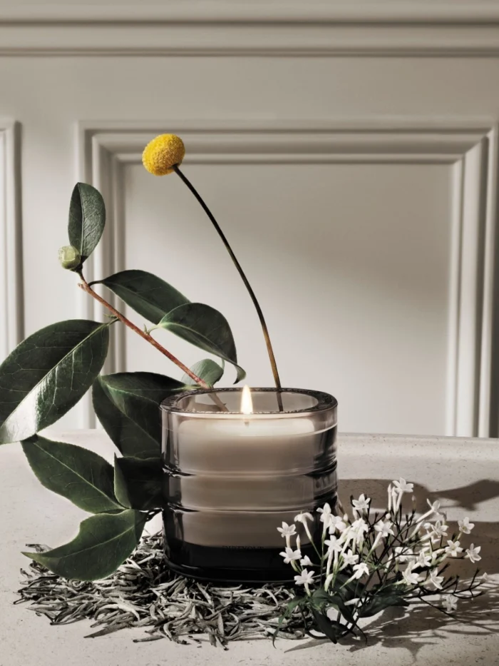 DIPTYQUE La Vallée du Temps Candle