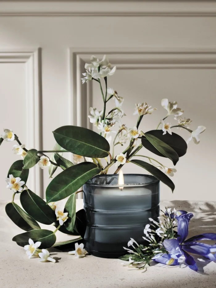 DIPTYQUE Nymphées Merveilleuses Candle